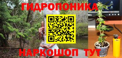 mix Кингисепп