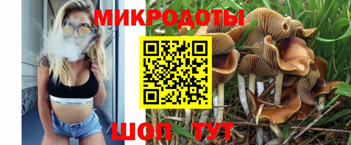 Галлюциногенные грибы ЛСД Гатчина