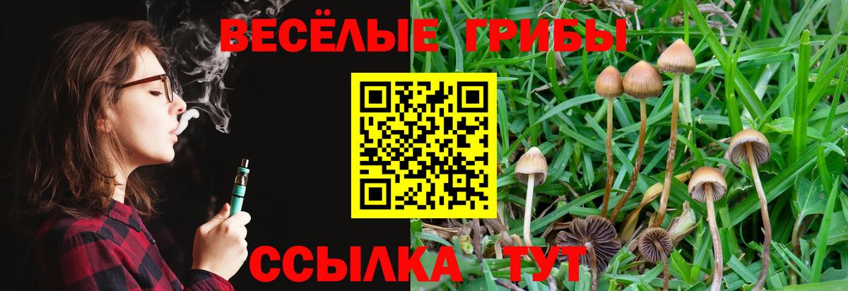 Гатчина  Галлюциногенные грибы Psilocybine cubensis  где купить наркоту  Вход с VPN 